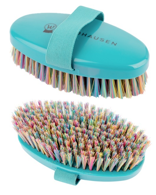 SPAZZOLA CON PASSANTE RAINBOW Brusche & Spazzole 